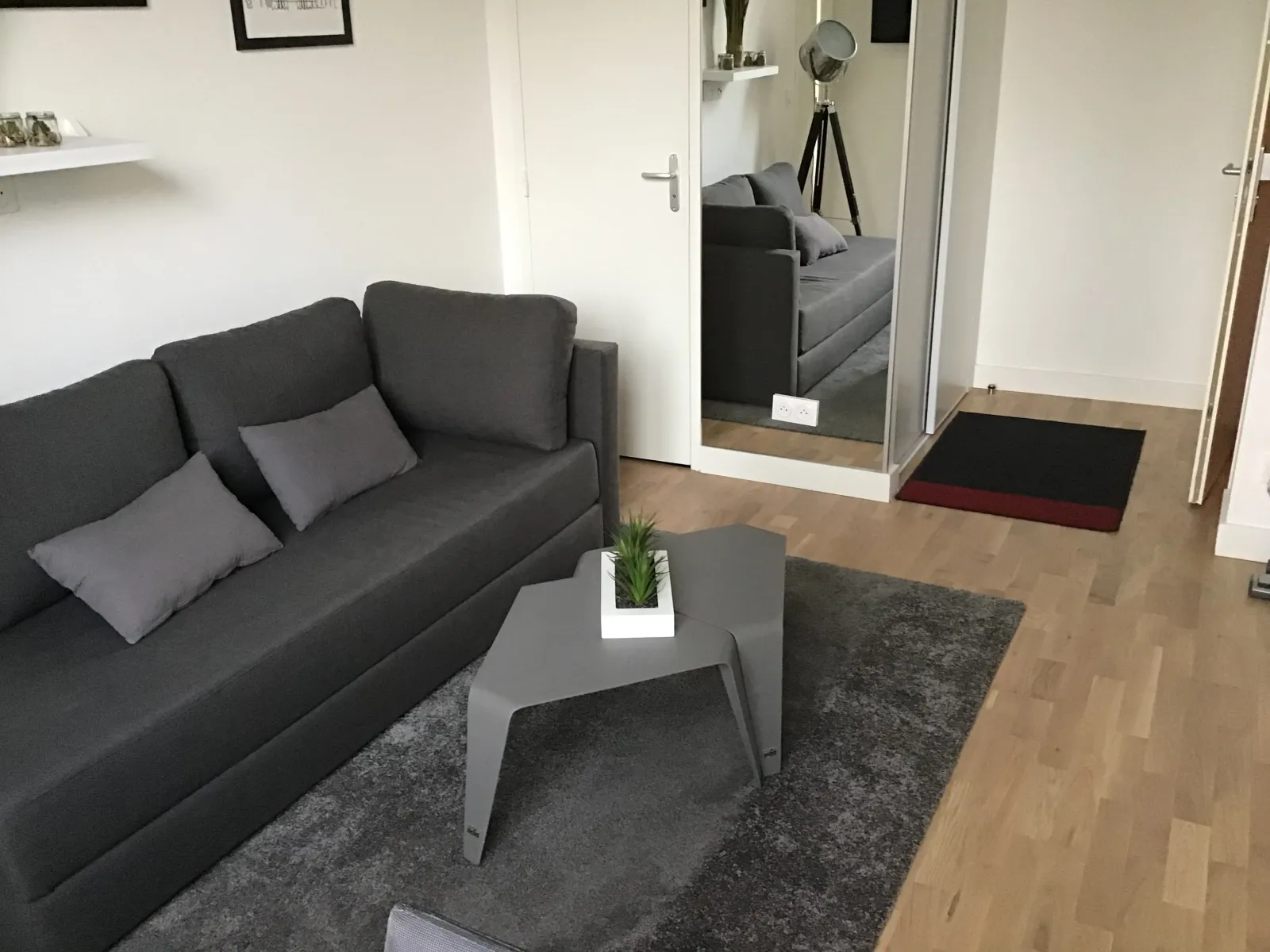 Location Villeurbanne Appartement 6a50933a8996