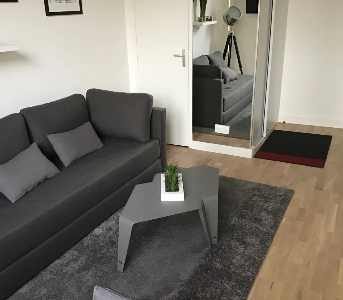 Location Villeurbanne Appartement 6a50933a8996
