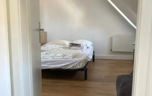 Location Strasbourg Appartement 6a50c9868ef4