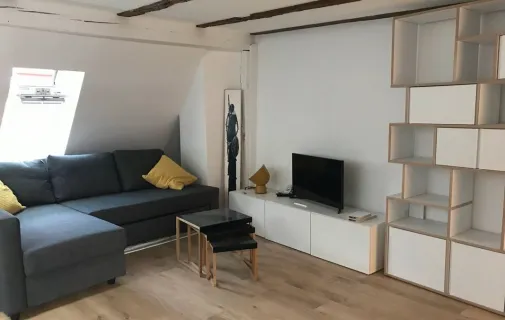 Location Strasbourg Appartement 6a52b9b28133