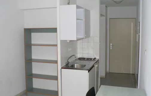 Location Lyon Appartement 6a52f6fbf291
