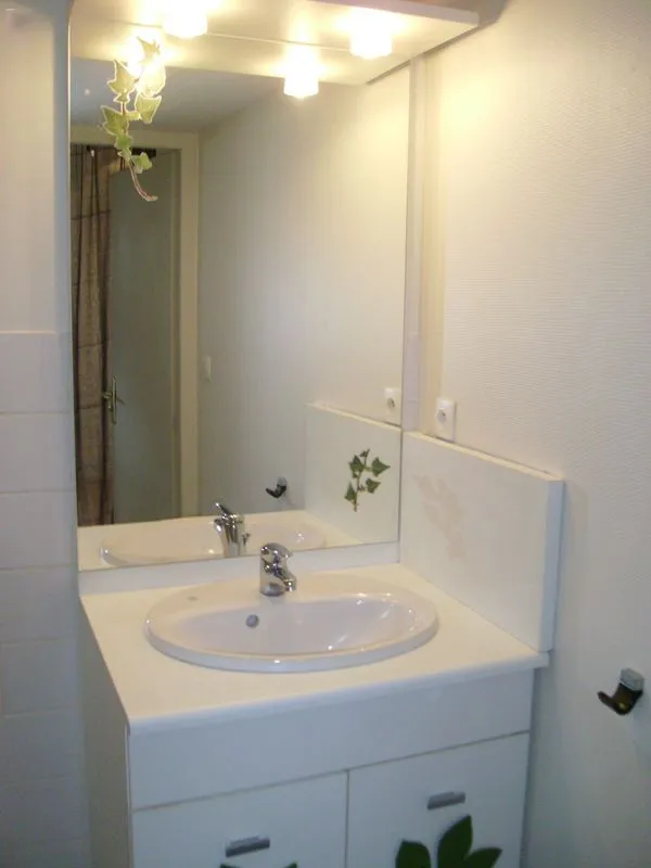 Location Grenoble Appartement 6a53da55d5d9