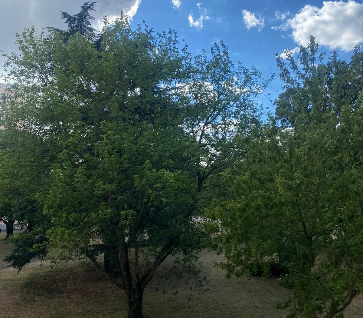 Location Maisons-Alfort Appartement 6a550176732a