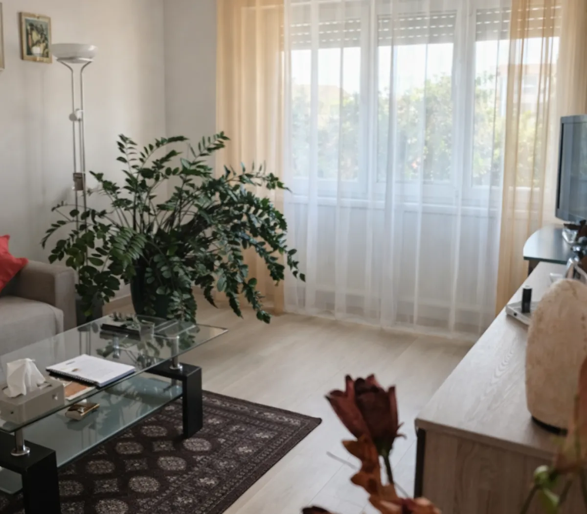Location Mulhouse Appartement 6a550ef73b91