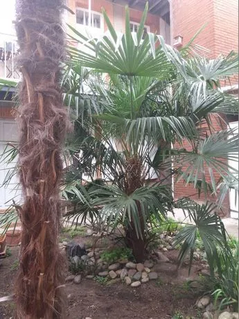 Location Toulouse Appartement 6a55f640862f