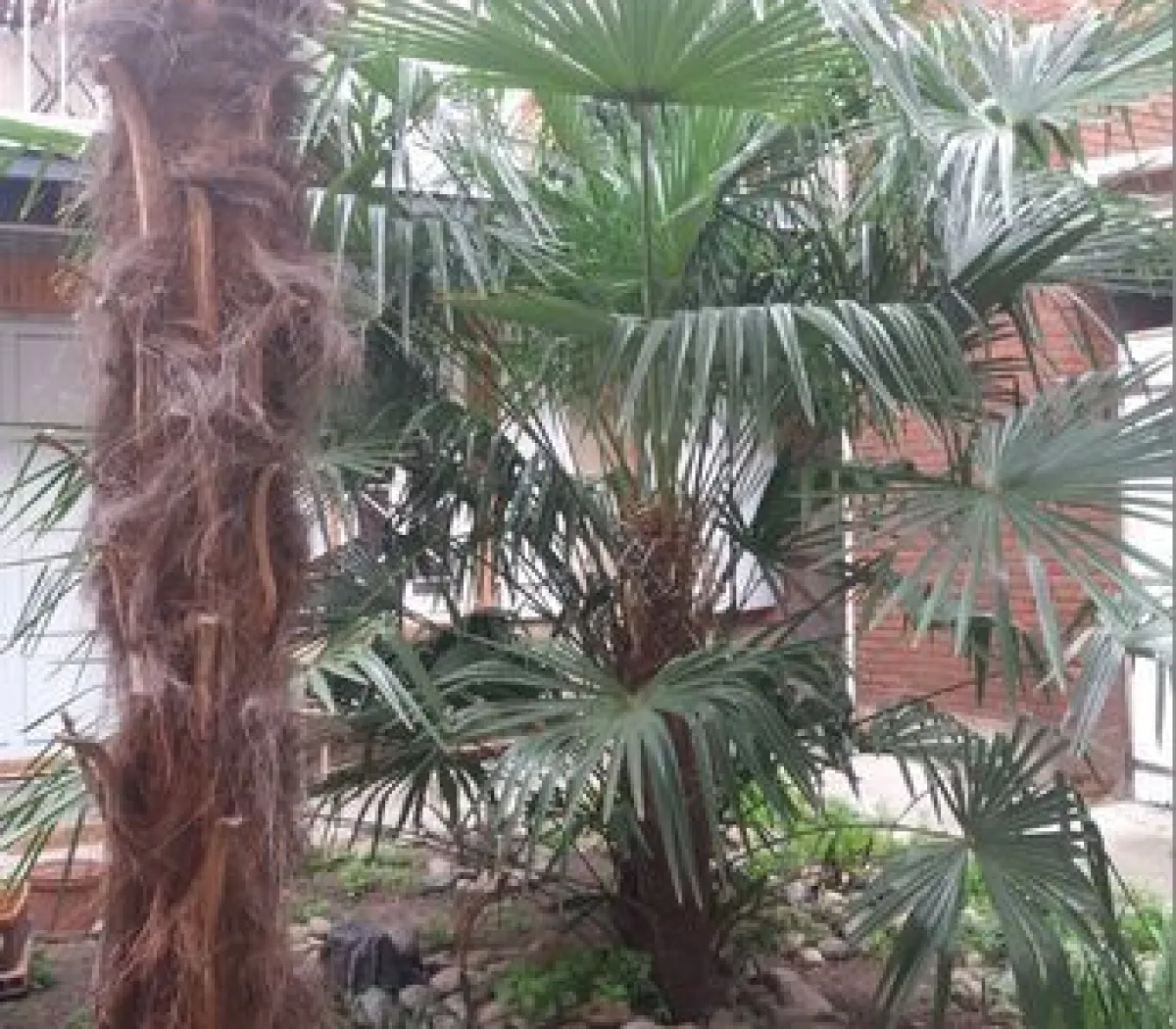 Location Toulouse Appartement 6a55f640862f