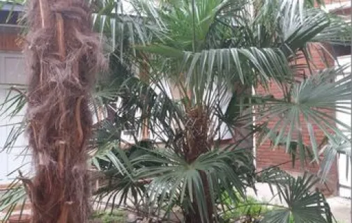Location Toulouse Appartement 6a55f640862f