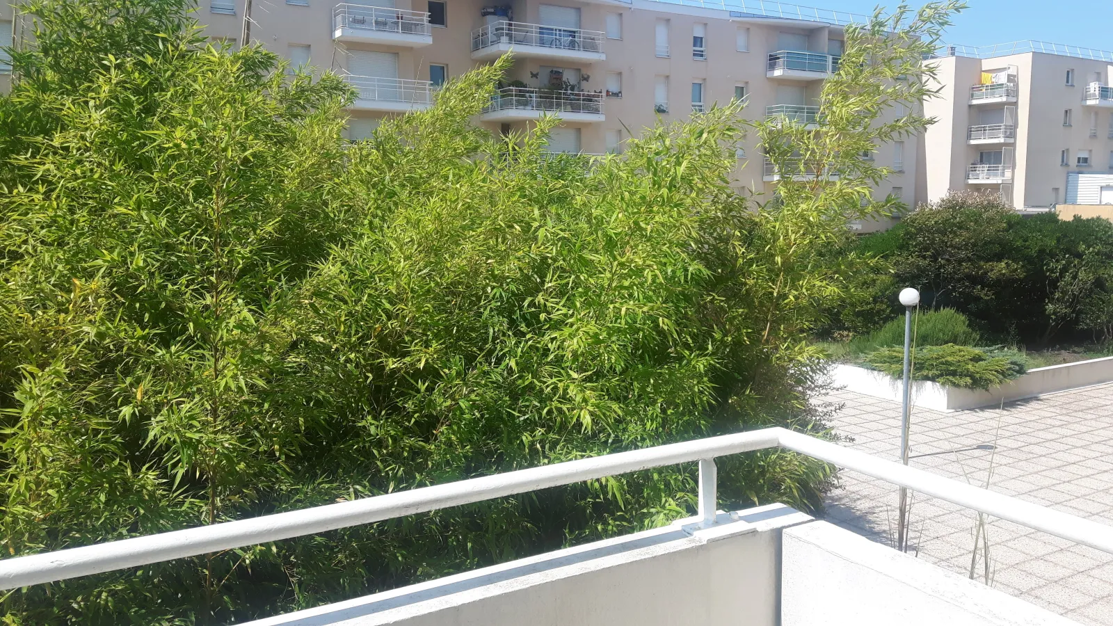 Location Bordeaux Appartement 6a588ba81a57