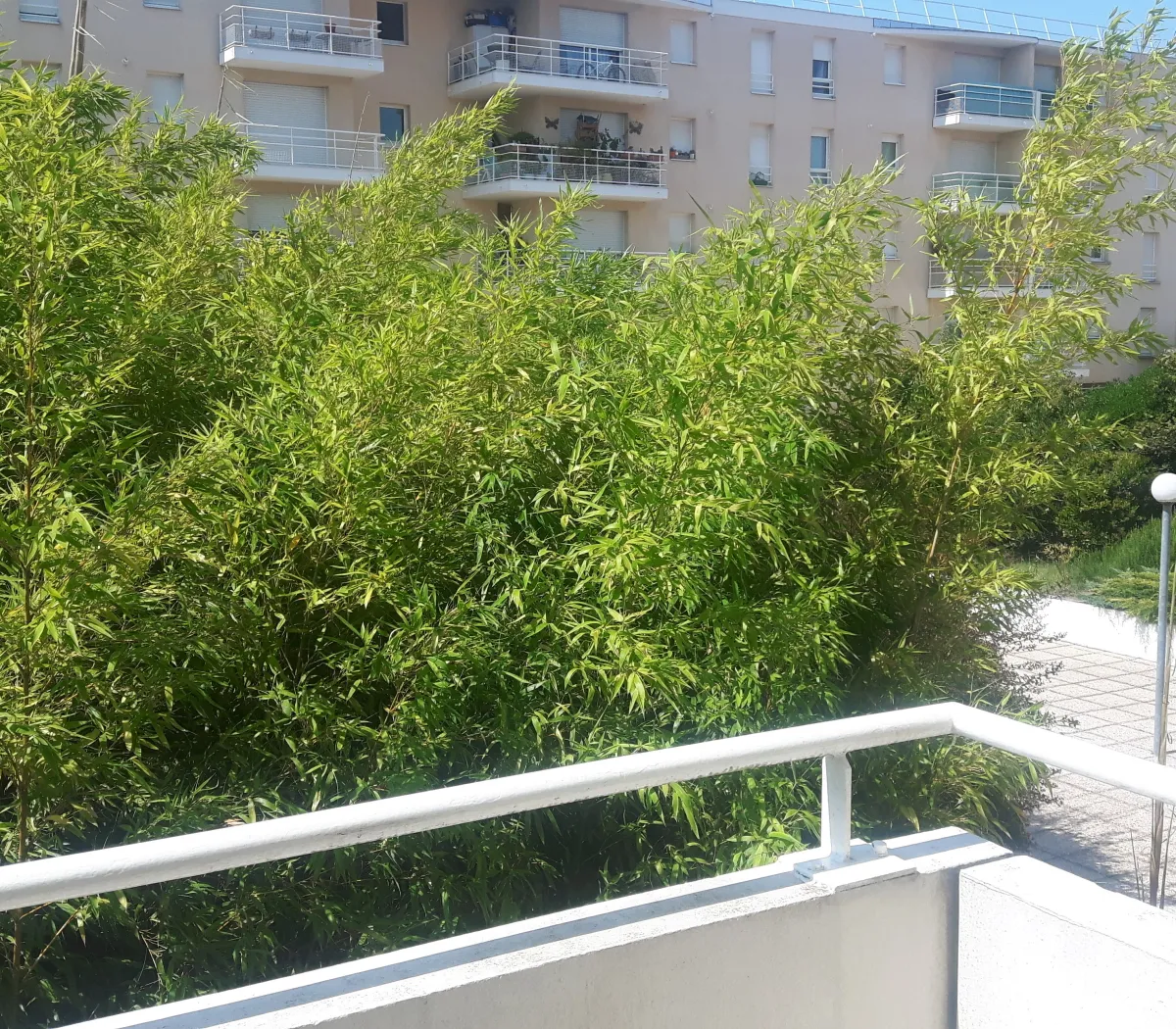Location Bordeaux Appartement 6a588ba81a57