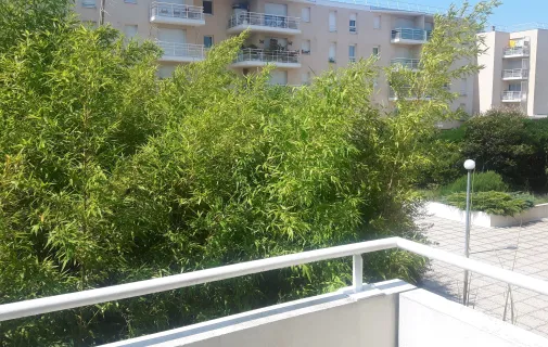 Location Bordeaux Appartement 6a588ba81a57