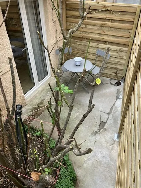 Location Villejuif Appartement 6a5943bf9618