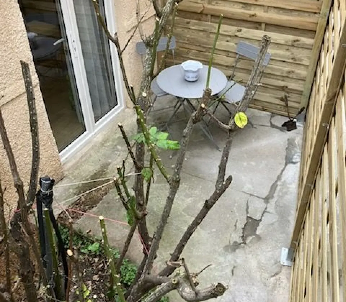 Location Villejuif Appartement 6a5943bf9618