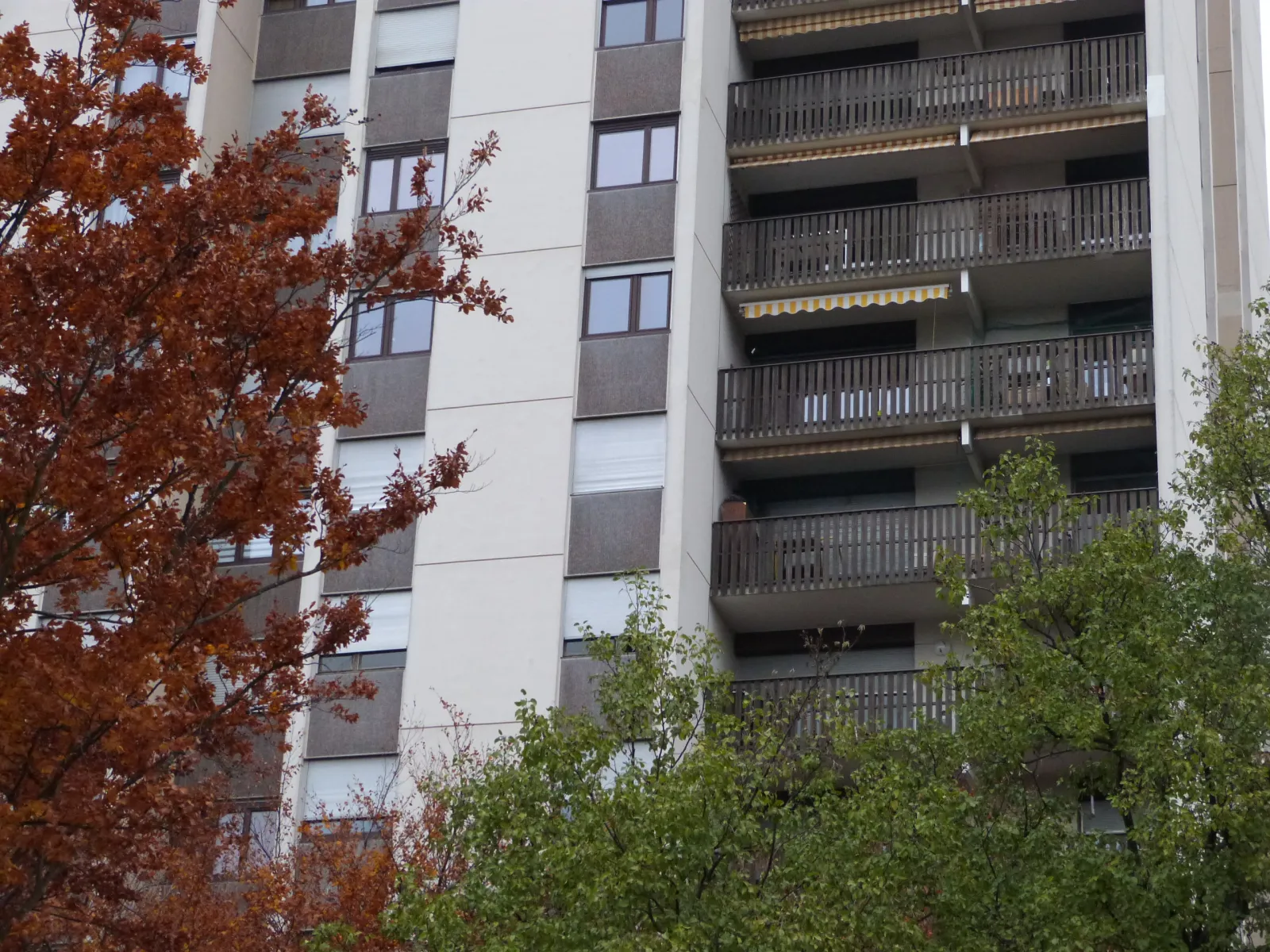 Location Grenoble Appartement 6a5a4ac455c1