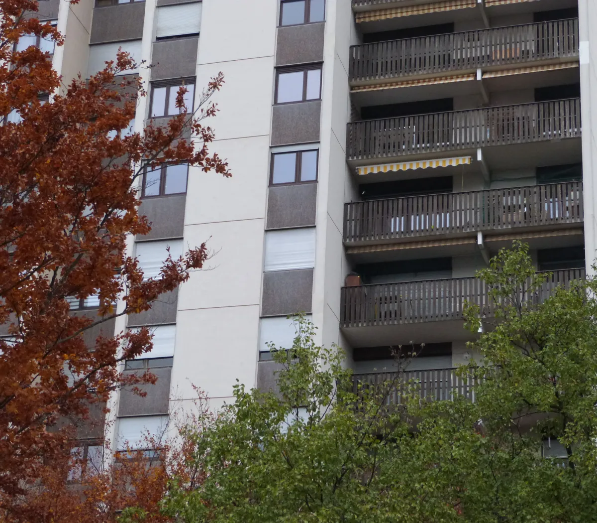 Location Grenoble Appartement 6a5a4ac455c1