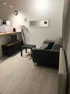 Location Saint-Étienne Appartement 6a5e87b39d5b
