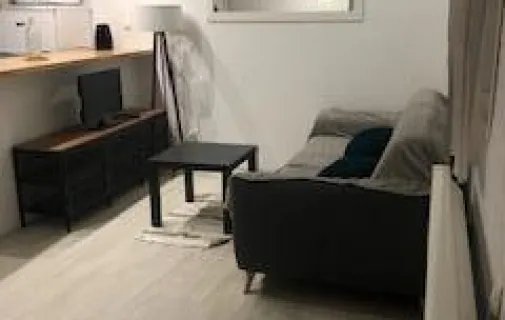 Location Saint-Étienne Appartement 6a5f0f980a50