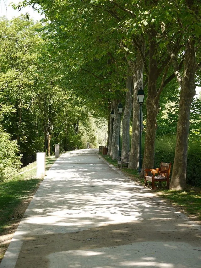 Location Rueil-Malmaison Chambre 6a677e3e5b16