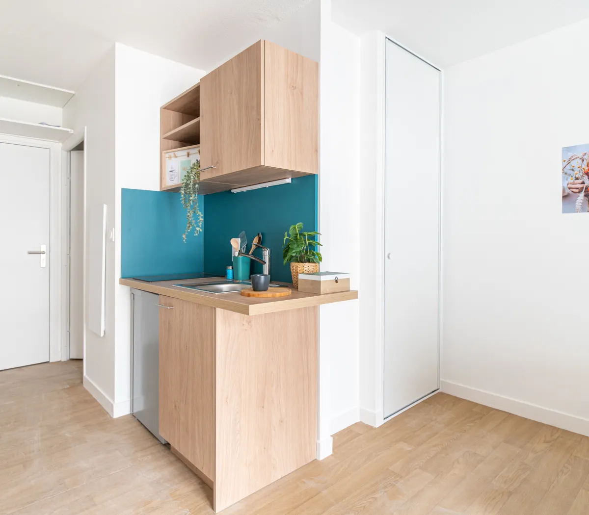 Location Saint-Étienne Appartement 6a6b14946ed6