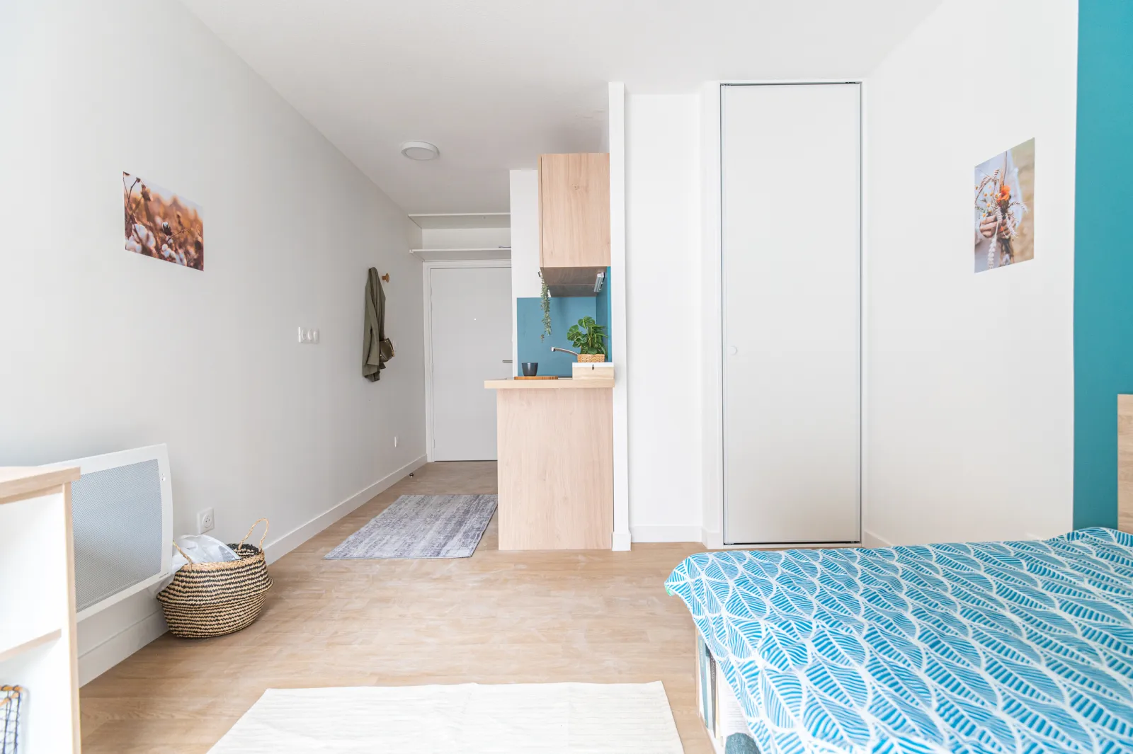 Location Saint-Étienne Appartement 6a6b14946ed6