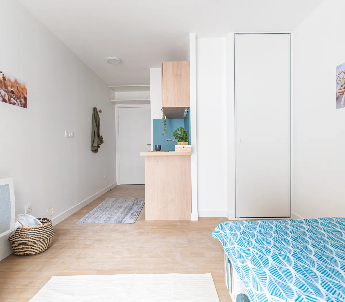 Location Saint-Étienne Appartement 6a6b14946ed6