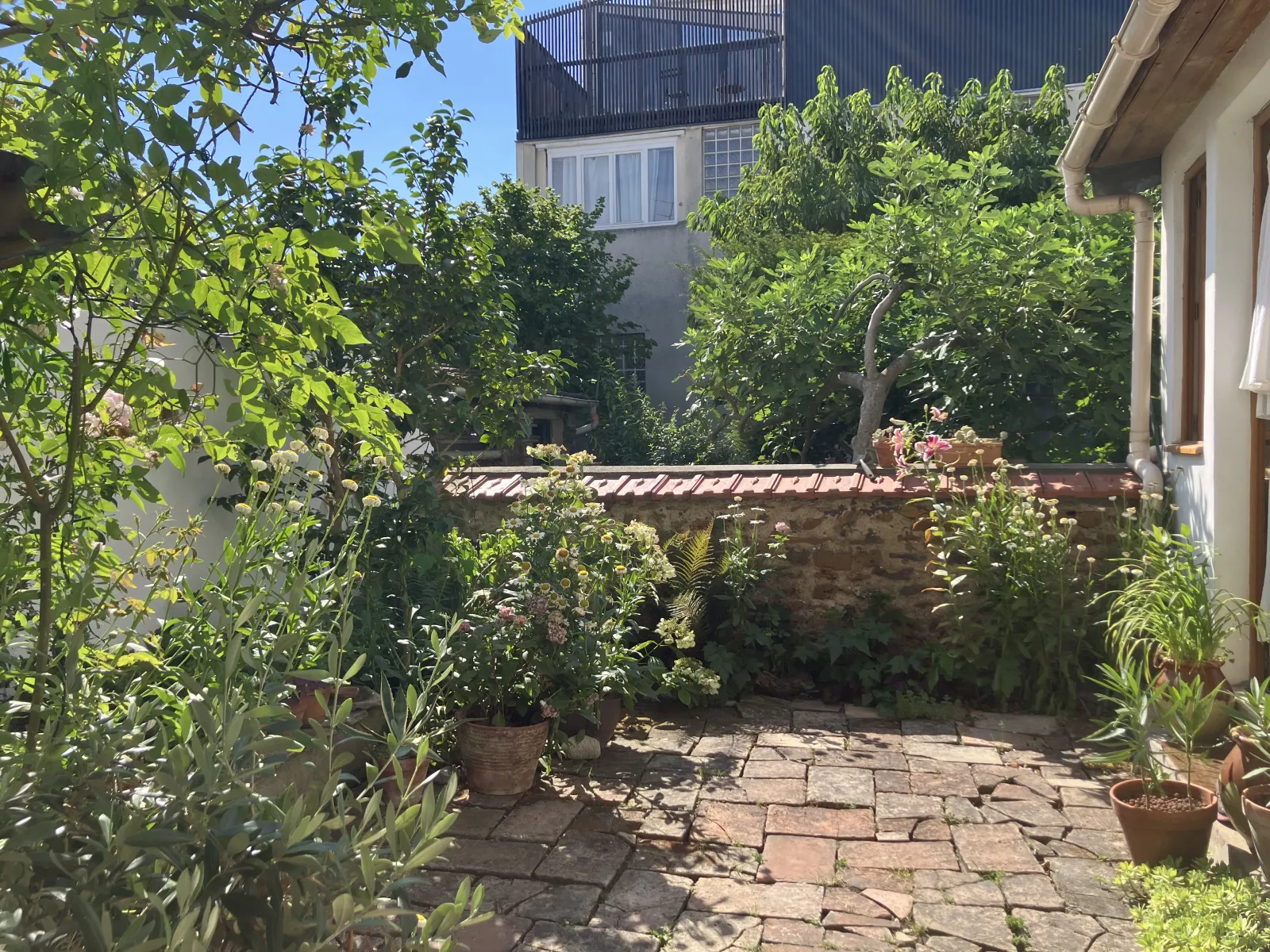 Location Montreuil Appartement 6a6c4ab7e402