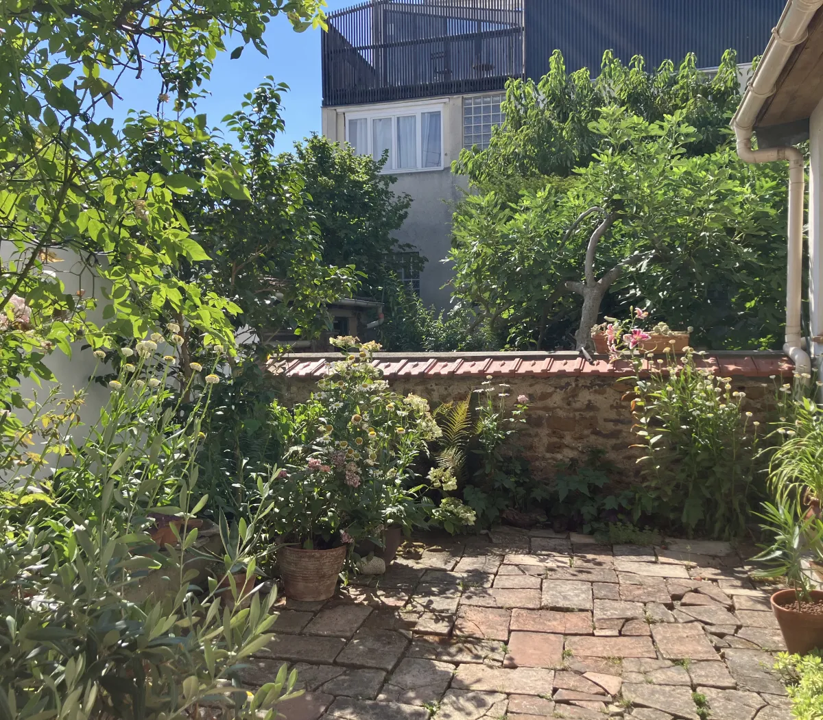 Location Montreuil Appartement 6a6c4ab7e402