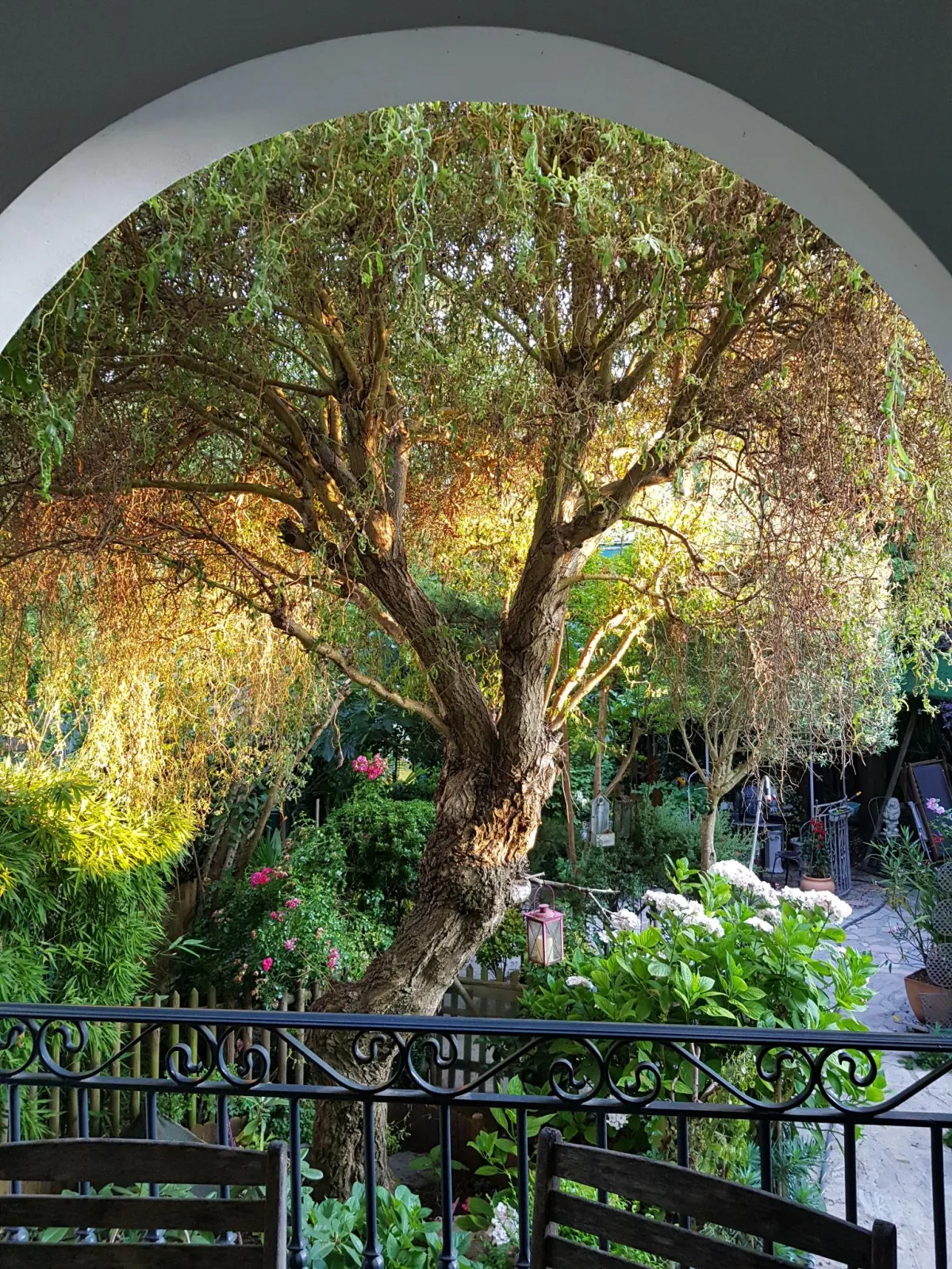 Location Soisy-sous-Montmorency Maison 6a75b30dd2c9