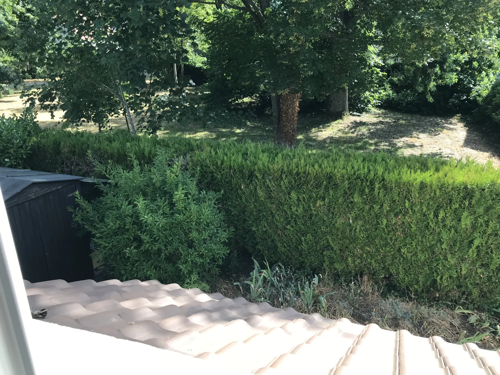 Location Jouars-Pontchartrain Appartement 6a7616b77134