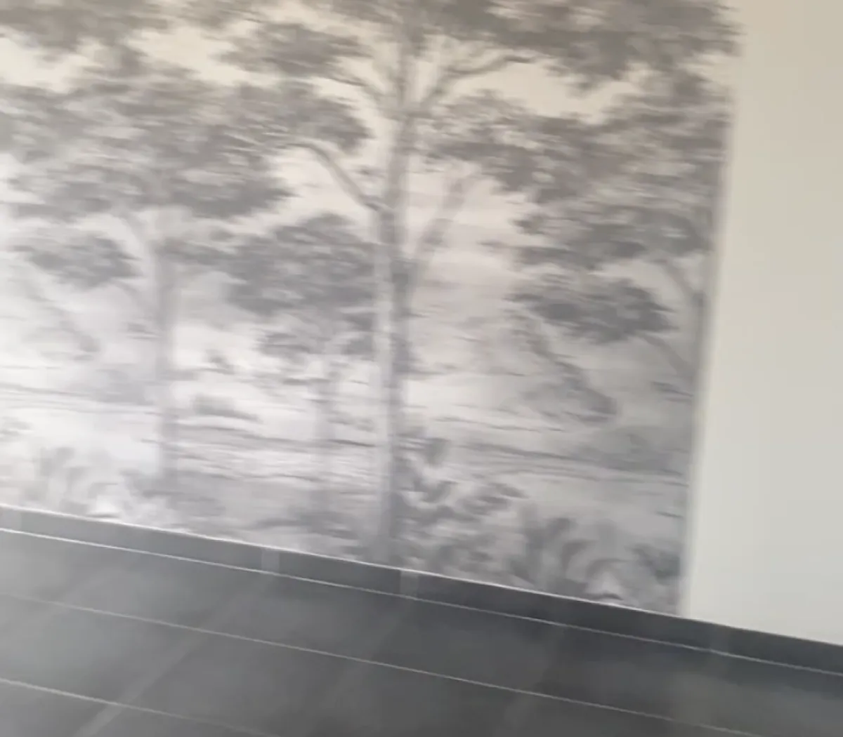 Location Ollioules Appartement 6a81a2d5c82a