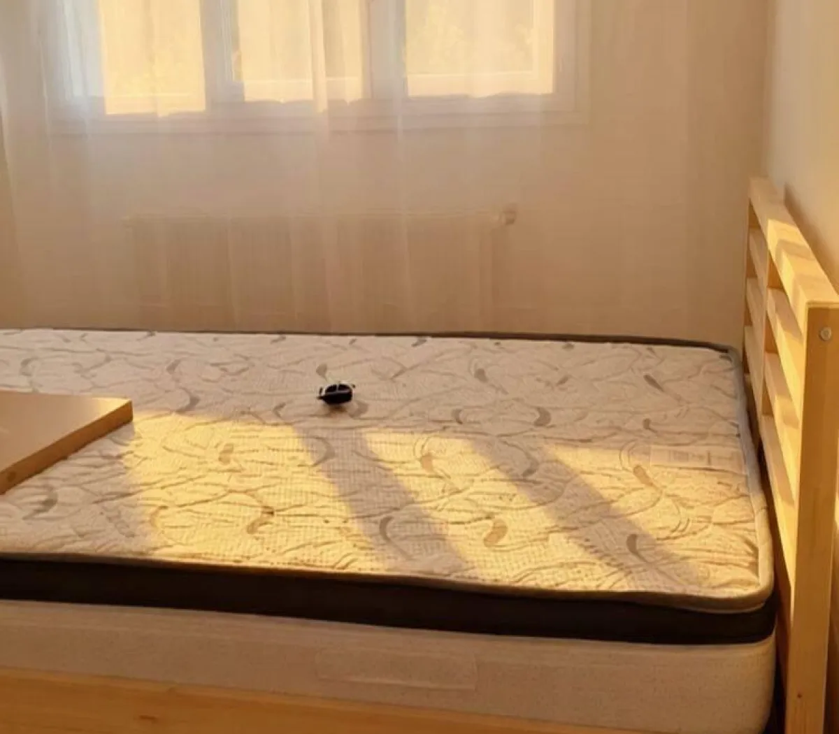 Location Villeurbanne Appartement 6a86c1dfd914