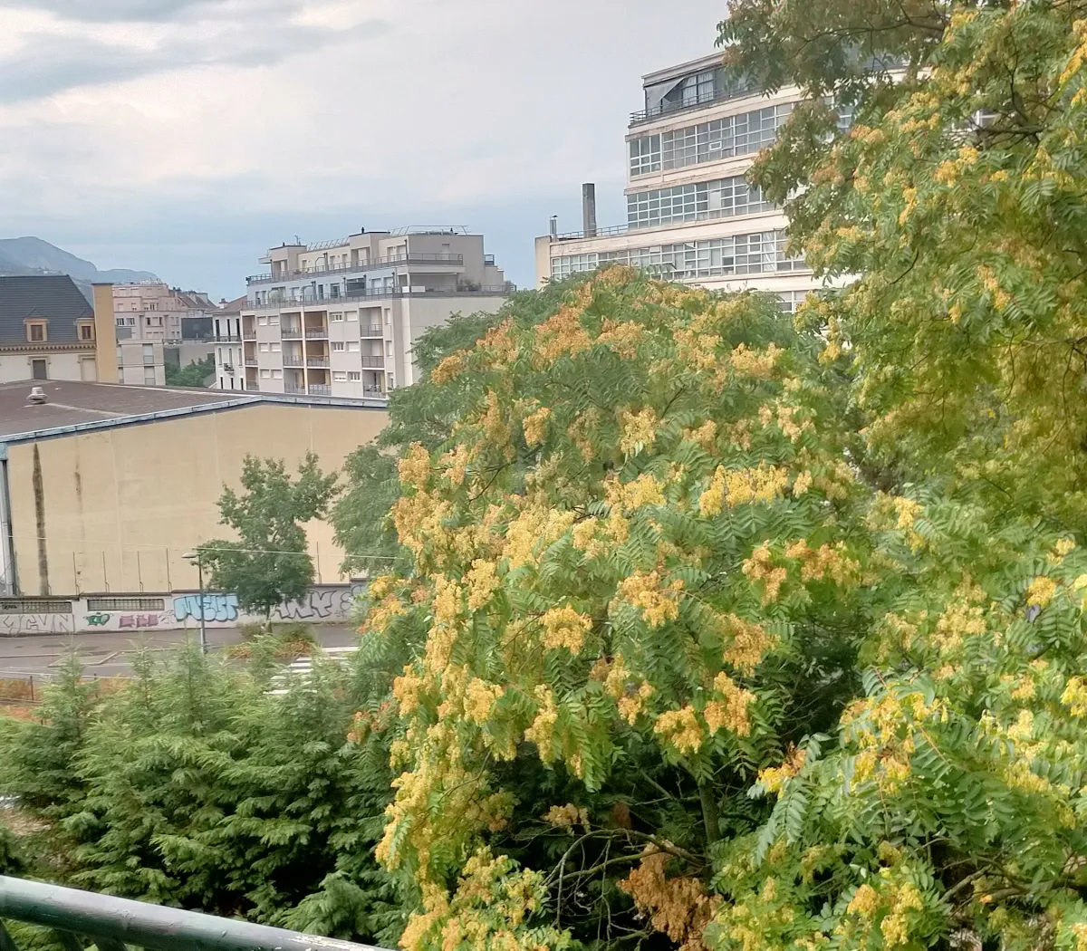 Location Grenoble Chambre 6a8876100e70