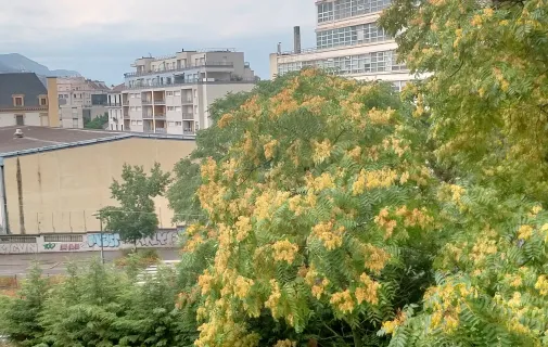 Location Grenoble Chambre 6a8876100e70