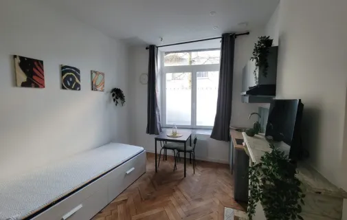 Location Roubaix Appartement 6a8beb292dea