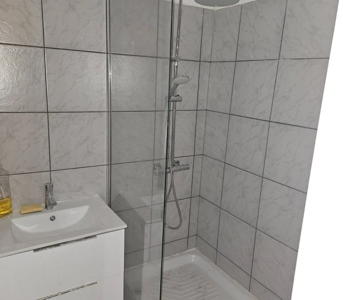Location Saint-Étienne Appartement 6a8c4191cf45