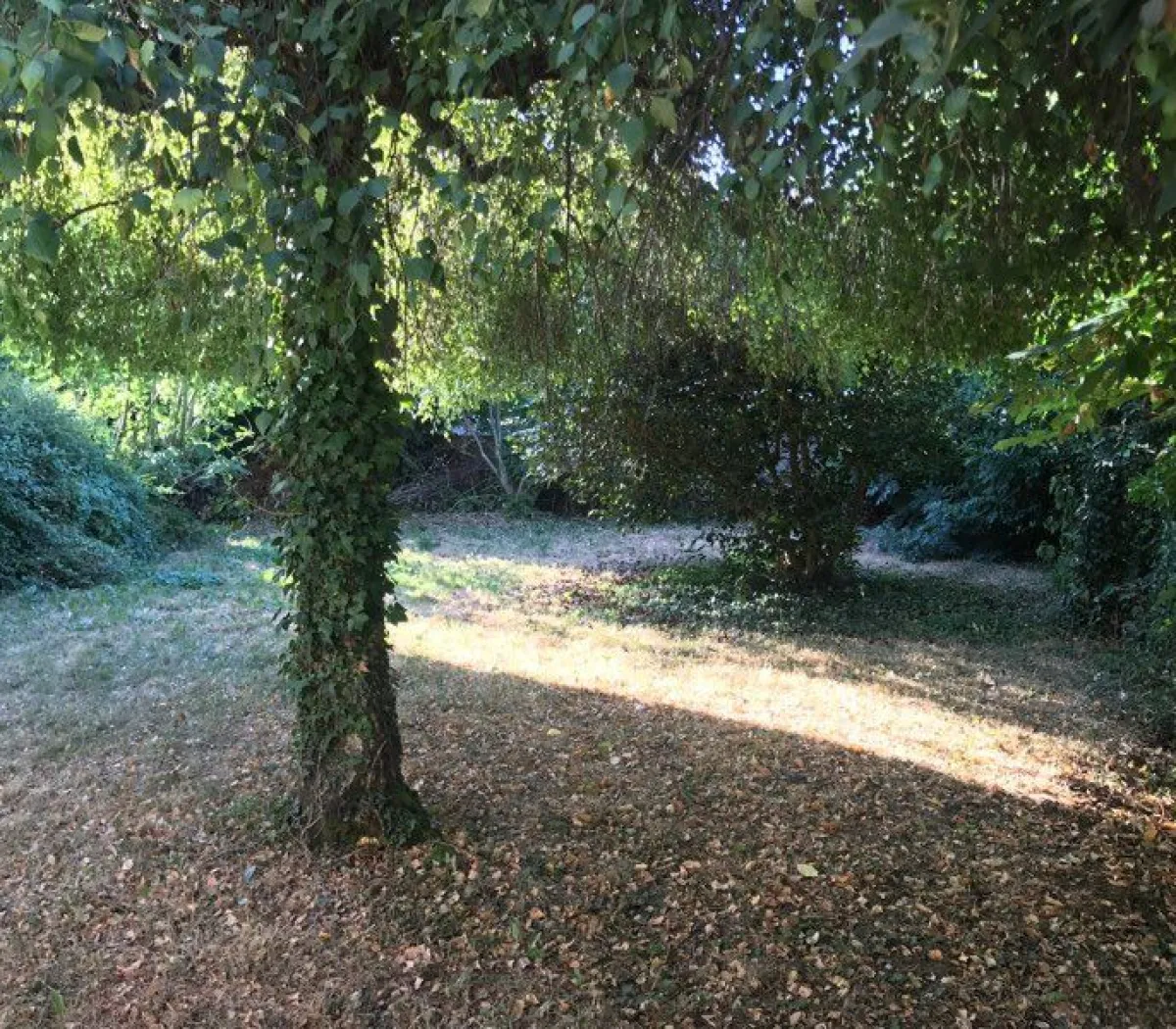 Location Rennes Appartement 6a8cc5f65bed
