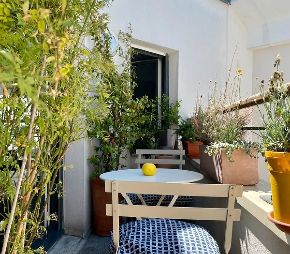 Location Suresnes Appartement 6a8dd88bbb54