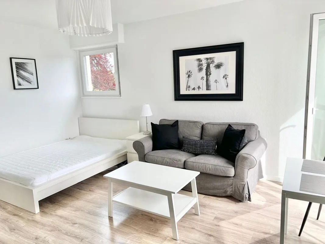 Location Mulhouse Appartement 6a8dd9e94eeb