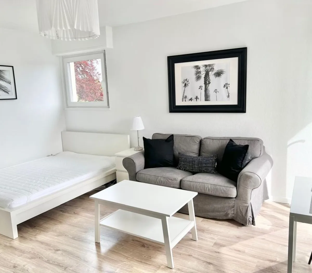 Location Mulhouse Appartement 6a8dd9e94eeb