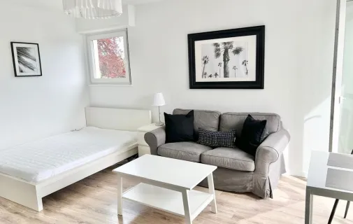 Location Mulhouse Appartement 6a8dd9e94eeb
