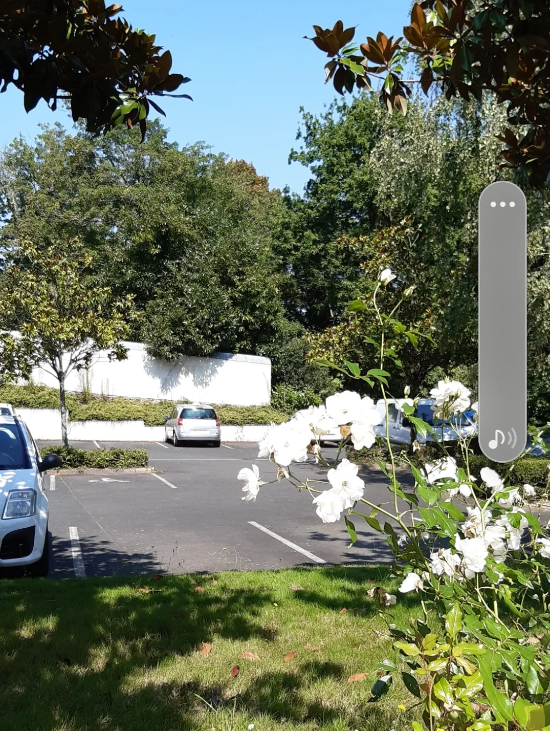 Location Nantes Appartement 6a95478477f5