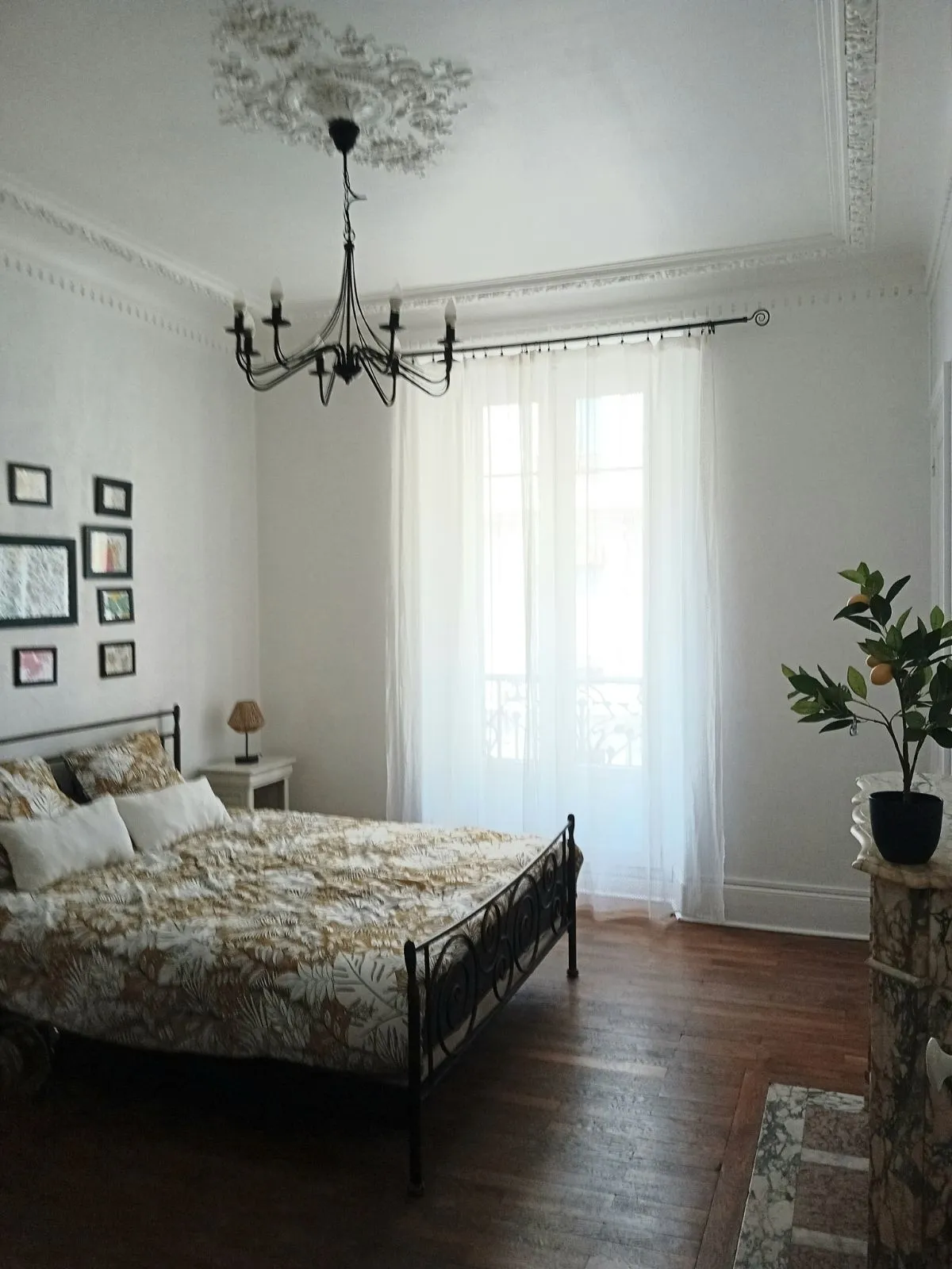 Location Grenoble Appartement 6a969848ad2a
