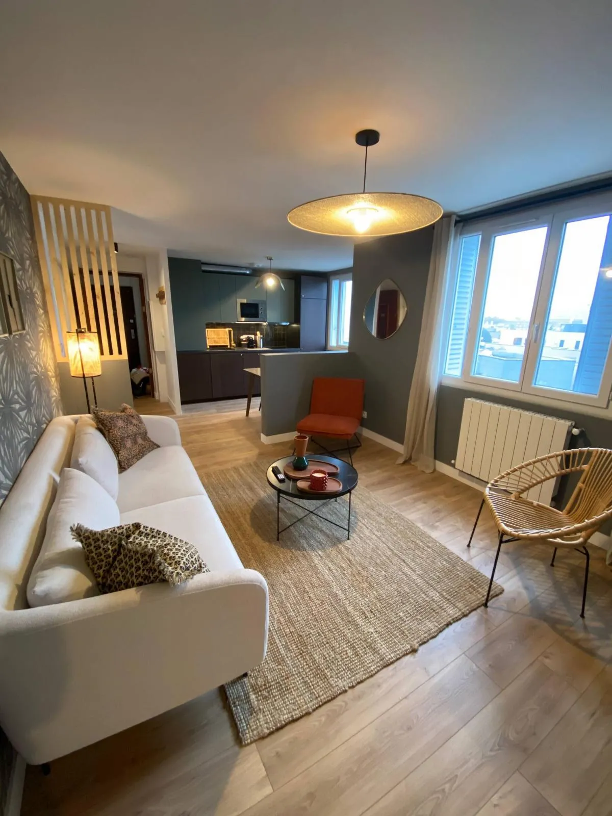 Location Villeurbanne Appartement 6a96a0f8c519