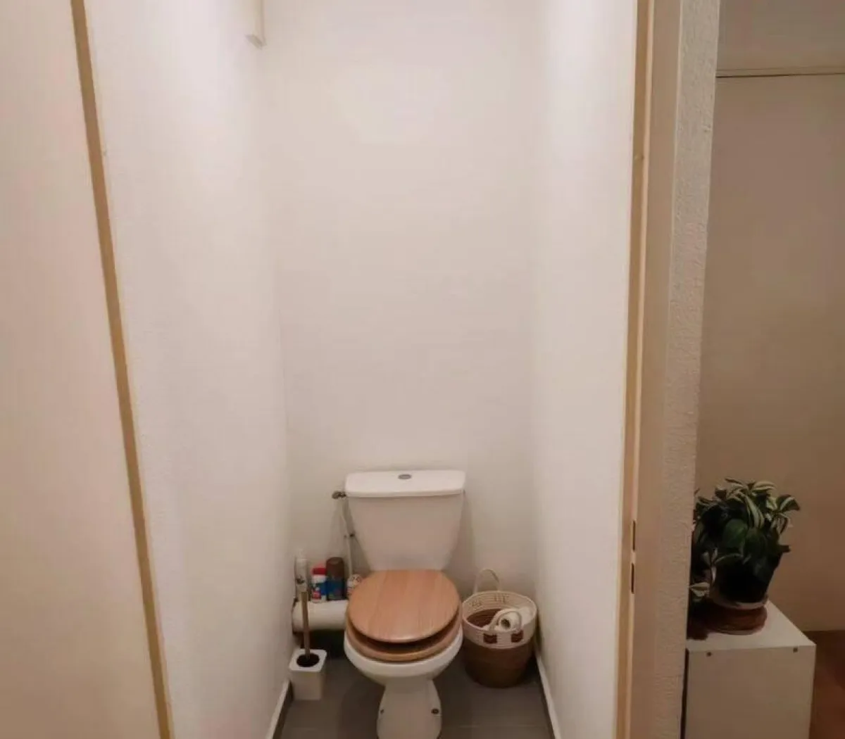Location Toulouse Appartement 6a988358e3cc