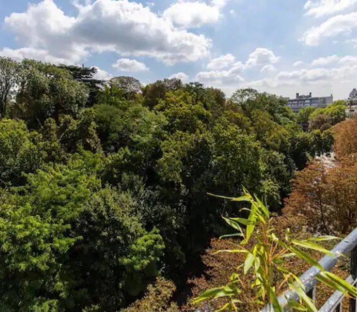 Location Paris Appartement 6a9934f58579