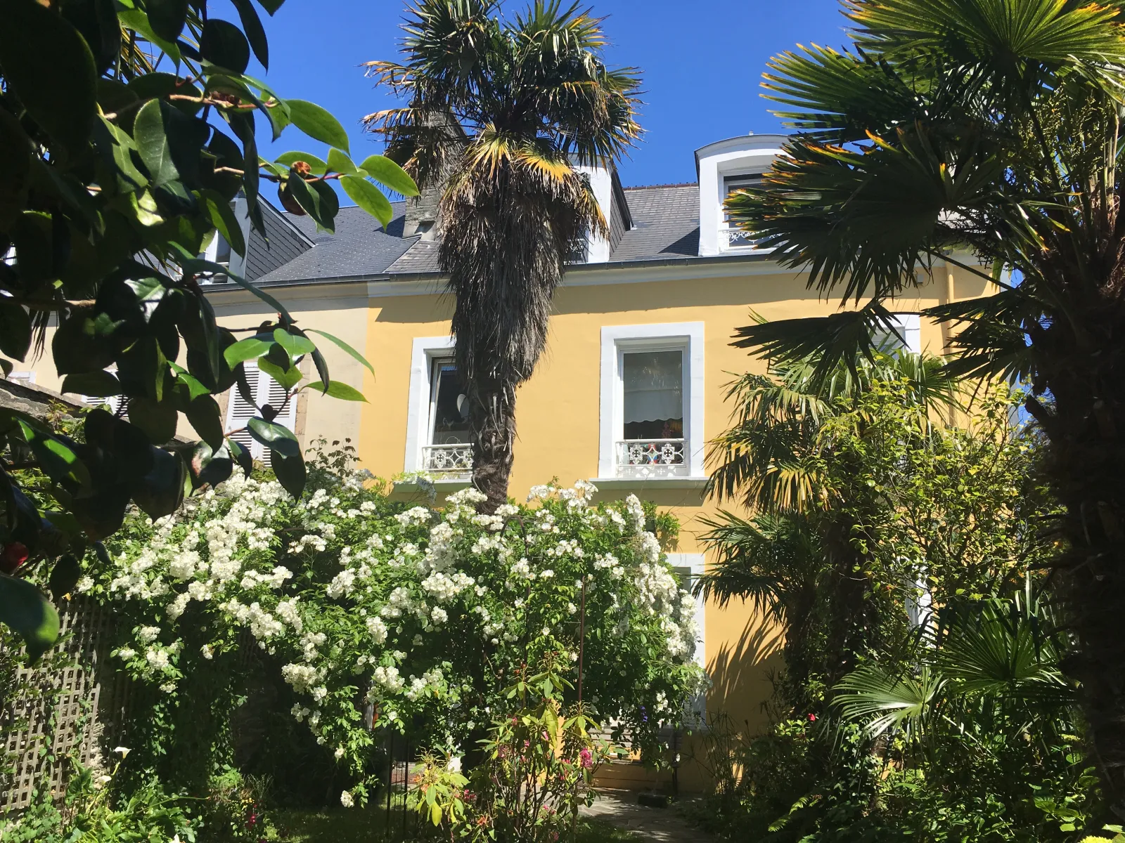 Location Cherbourg-en-Cotentin Chambre 6aa1bc90913a