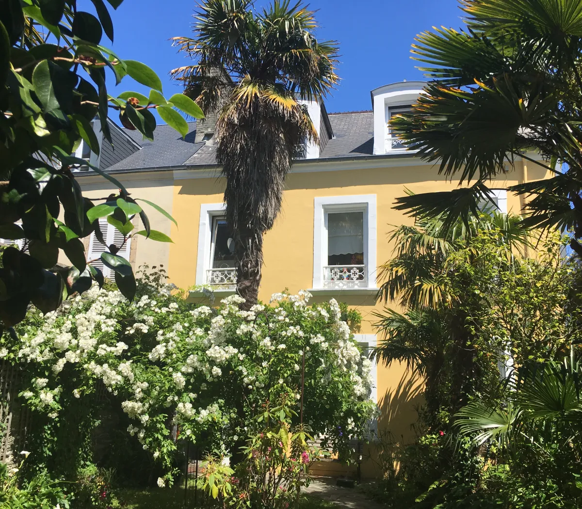 Location Cherbourg-en-Cotentin Chambre 6aa1bc90913a