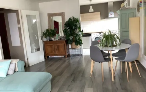 Location Faches-Thumesnil Appartement 6aa533d42df5