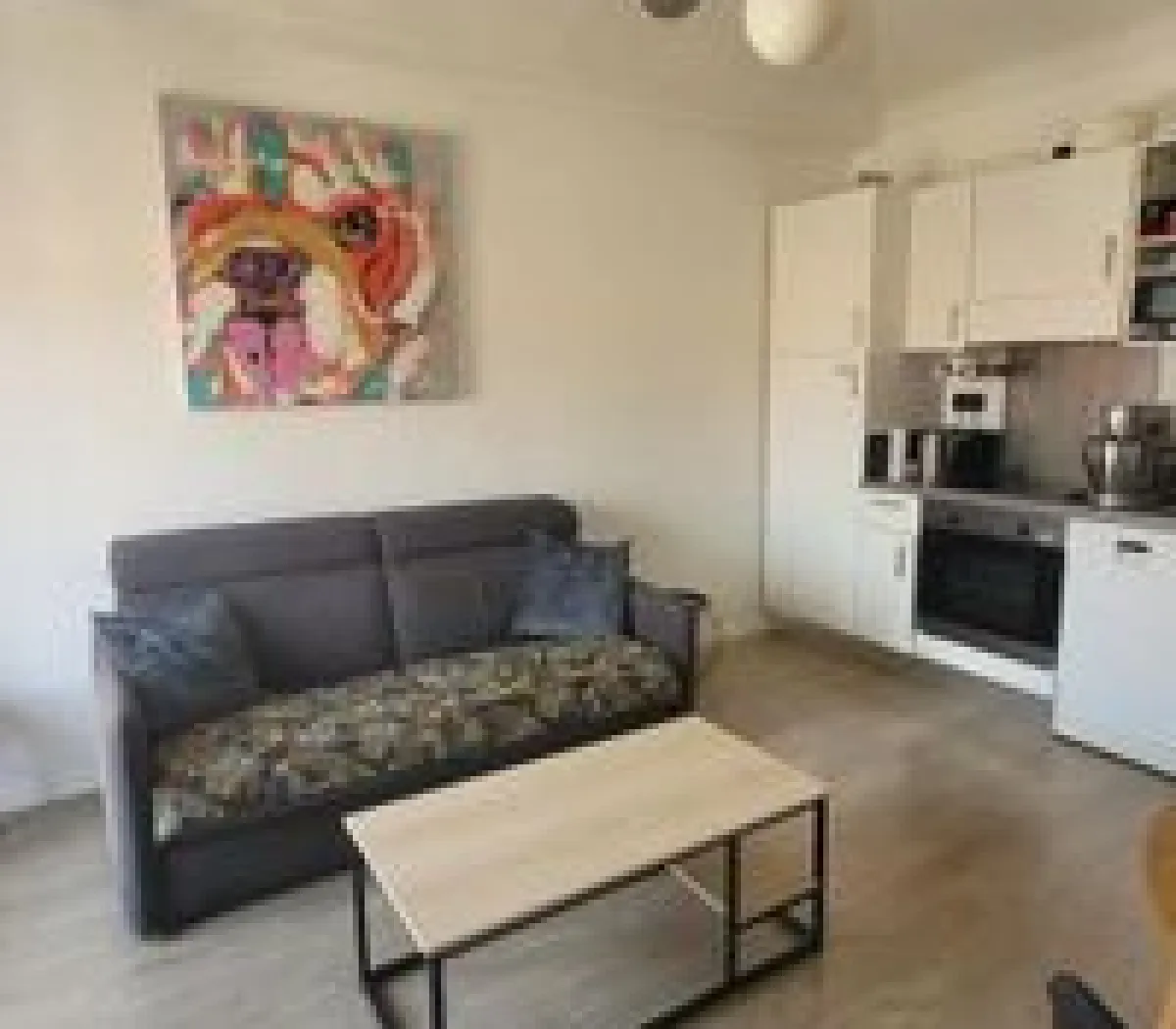 Location Nice Appartement 6aa97100dfd4