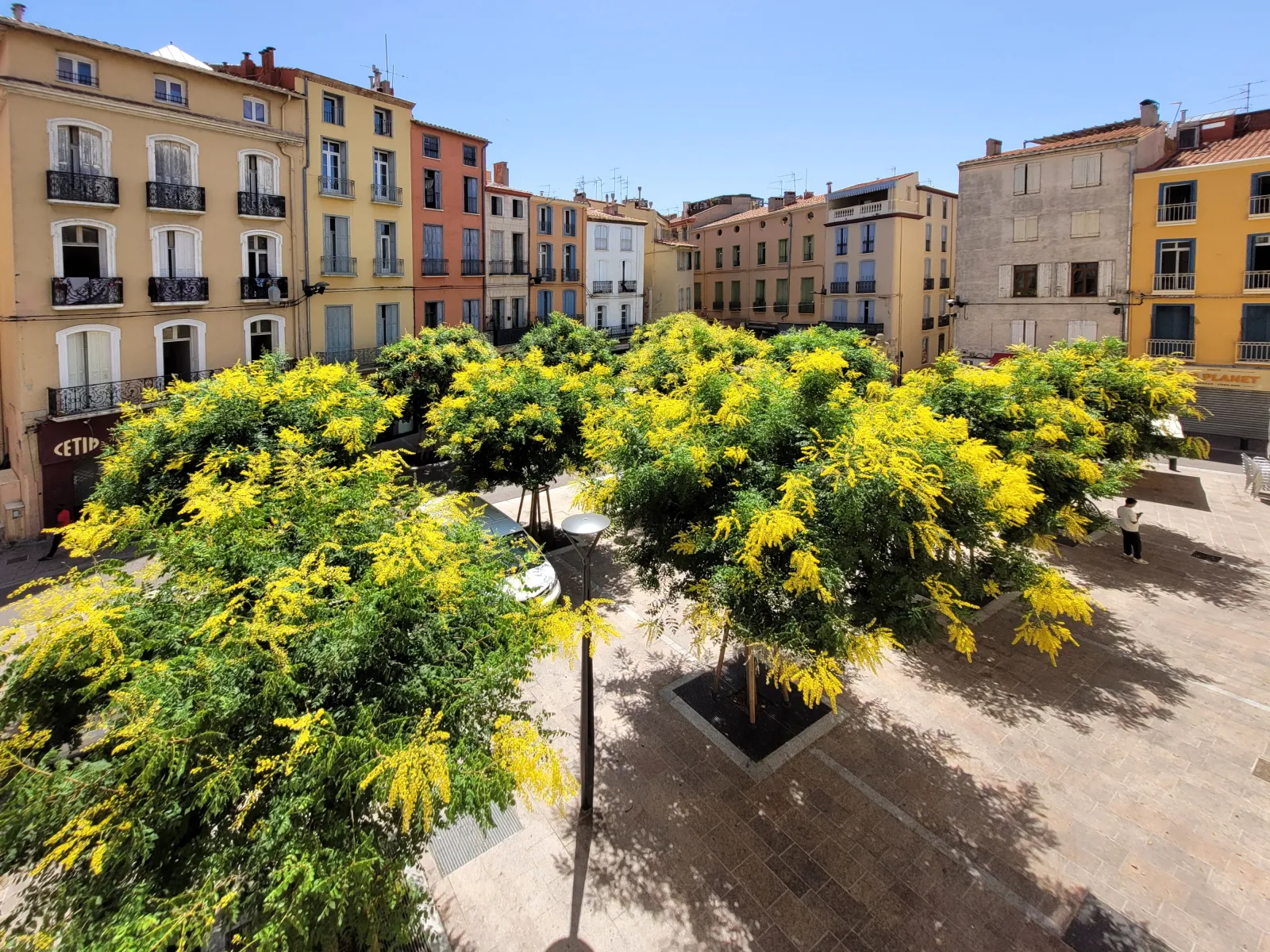 Location Perpignan Appartement 6aaab6226309