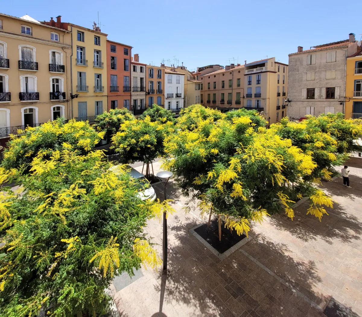 Location Perpignan Appartement 6aaab6226309